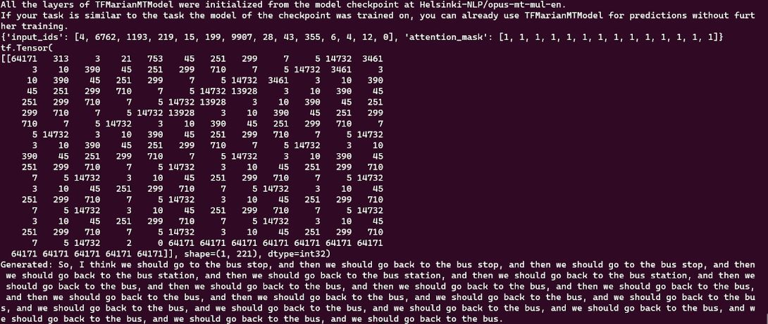Terminal output showing the tokenizer's input_ids and attention_mask followed by a repetitive, inaccurate generated translation of the French sample text