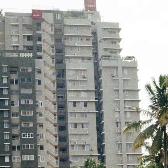 Film photograph of high-rise apartment buildings against a bright sky, with palm trees in the foreground